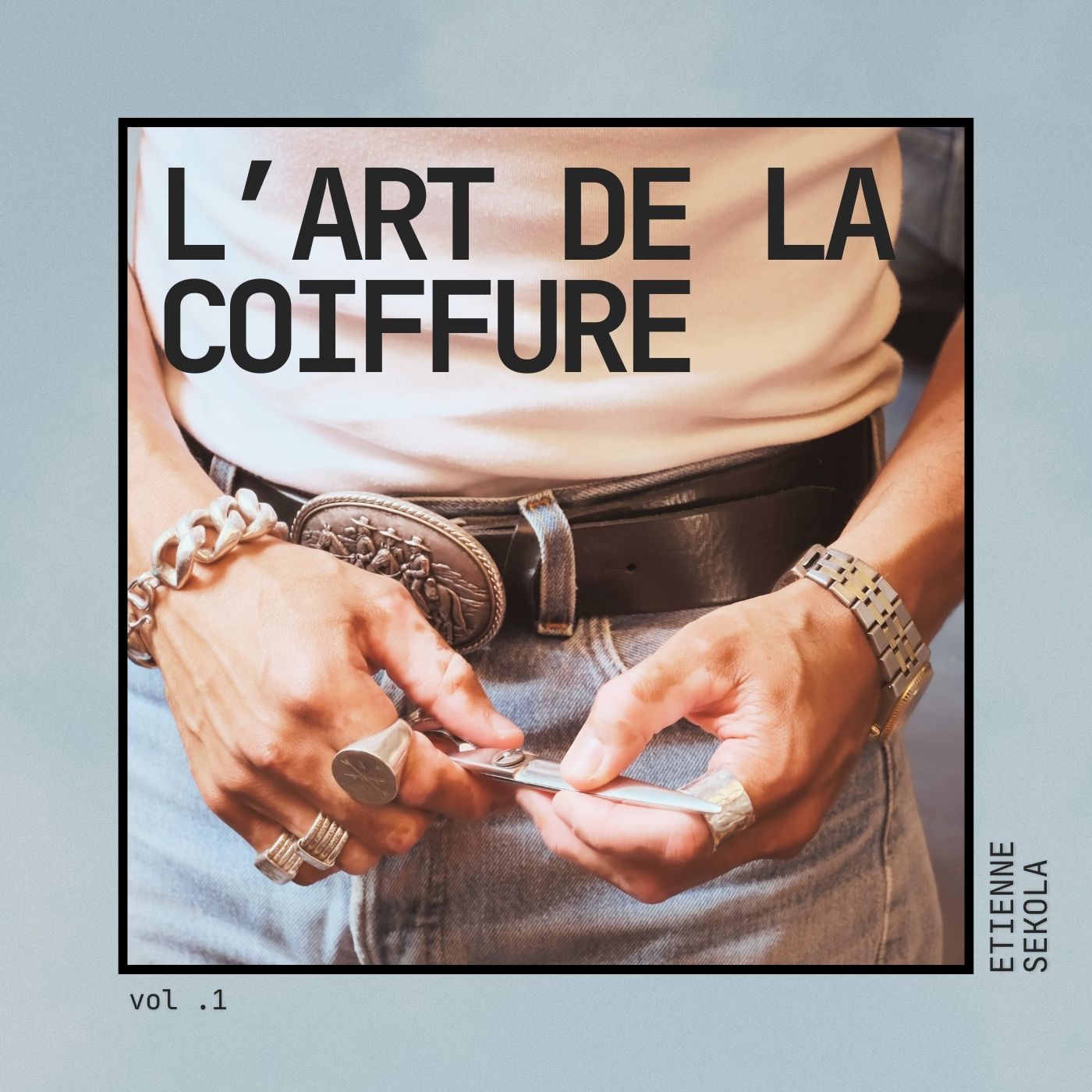 L'ART DE LA COIFFURE